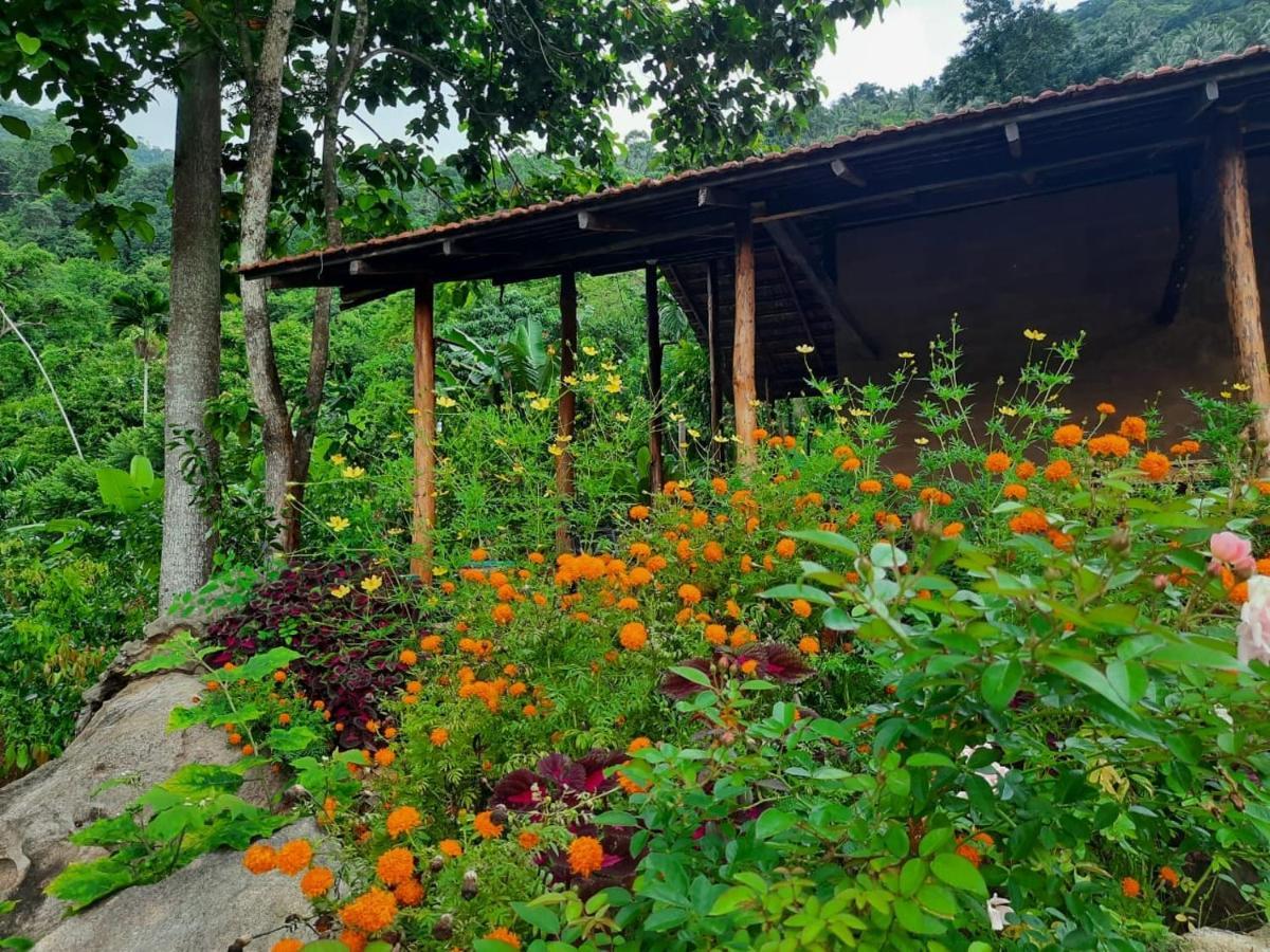 Silver Hill Ecovillage 쿠루네갈라 외부 사진