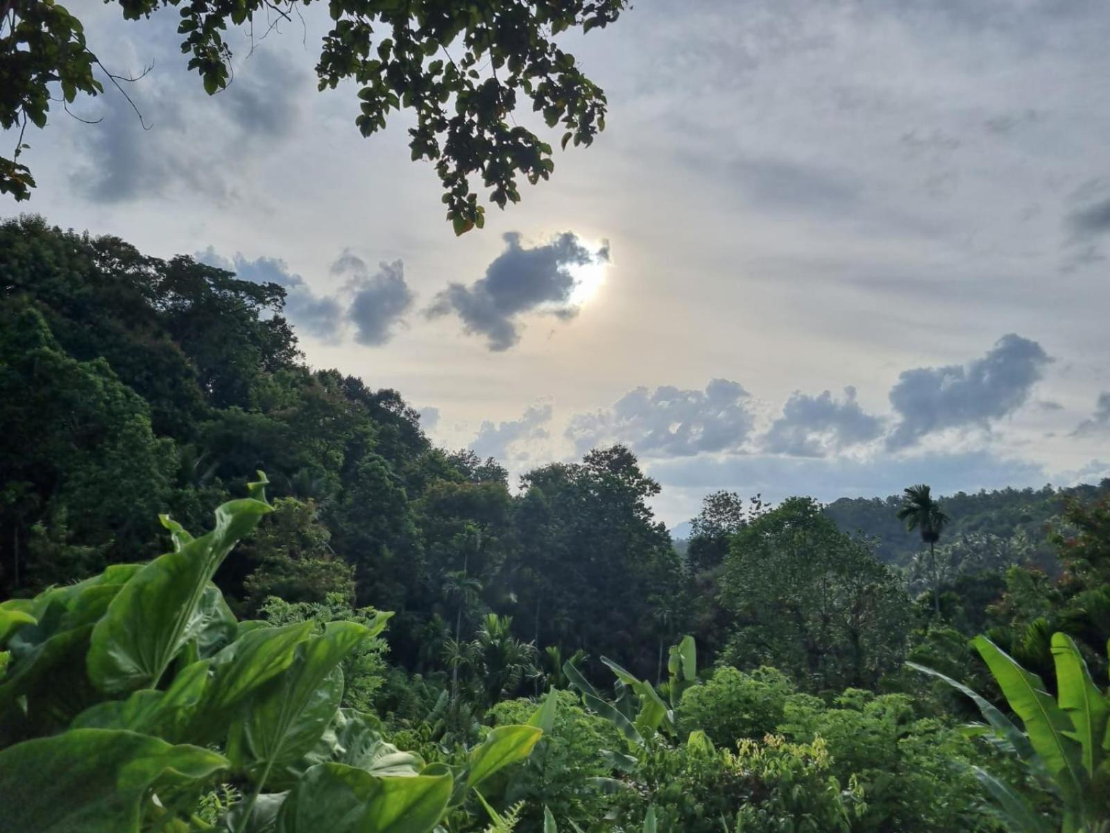 Silver Hill Ecovillage 쿠루네갈라 외부 사진