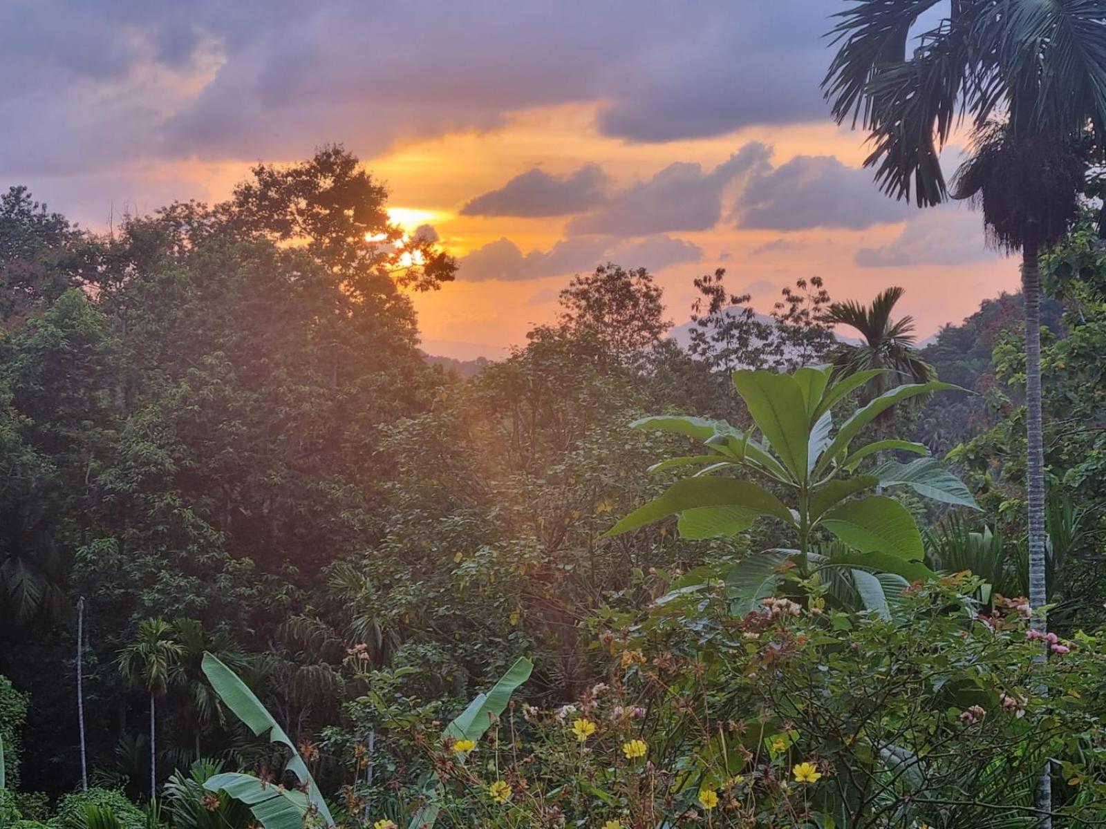Silver Hill Ecovillage 쿠루네갈라 외부 사진